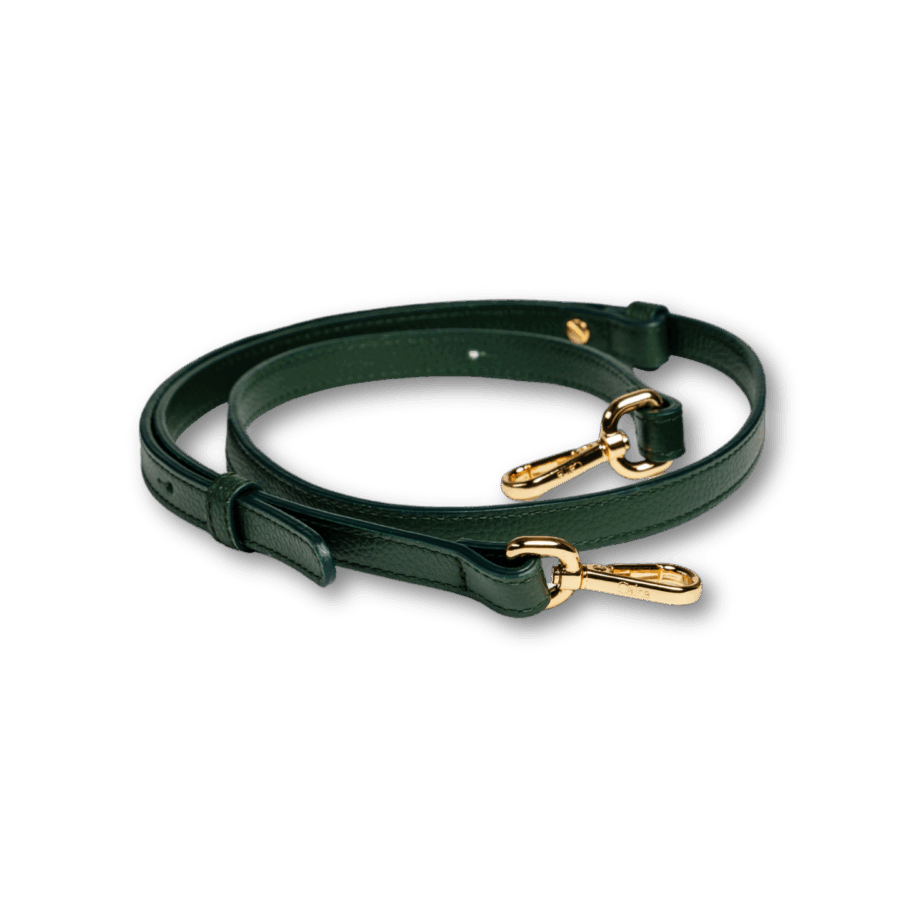 Alça<span> - </span>Amazónia